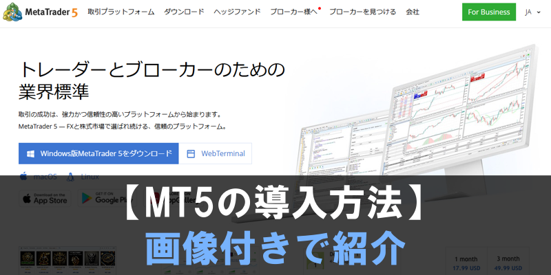 mt5の導入方法を画像付きで分かりやすく紹介