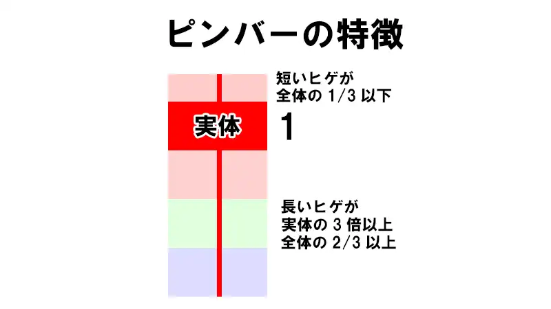 ピンバーの特徴
