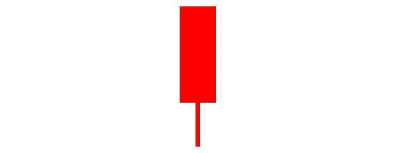 陽の大引け坊主